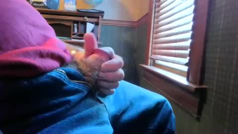 whydog online show from March 2025 03:05:02 PM