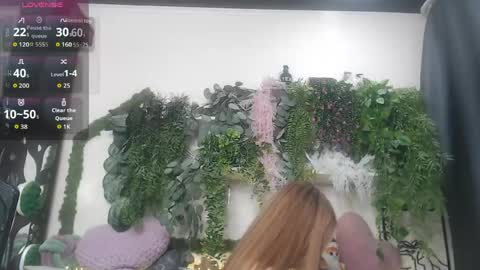 wiagra online show from April 2026 07:07:02 PM