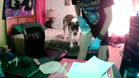 Wichita Wes online show from November 2025 07:15:01 PM