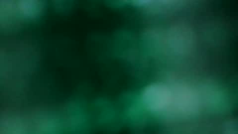 Snapshot of wildflower206042 chatting on March 2026 03:44:01 AM xxLavanderxx online show from March 2026 03:44:01 AM