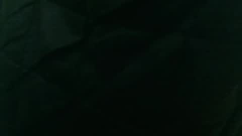 Snapshot of wildinwest chatting on February 2026 07:34:01 AM wildinwest online show from February 2026 07:34:01 AM