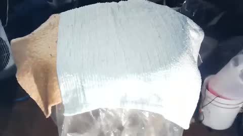 wildman6 online show from November 2025 08:47:01 PM