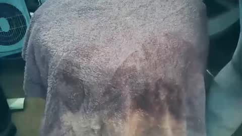 Snapshot of wildman6 chatting on March 2026 07:19:01 PM wildman6 online show from March 2026 07:19:01 PM