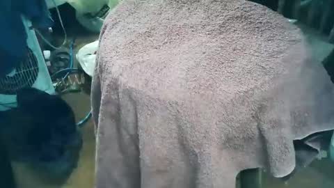 Snapshot of wildman6 chatting on March 2026 09:58:01 PM wildman6 online show from March 2026 09:58:01 PM