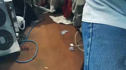 Snapshot of wildman6 chatting on April 2026 07:49:01 PM wildman6 online show from April 2026 07:49:01 PM