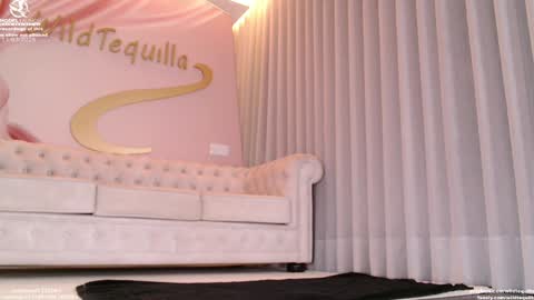 Snapshot of wildtequilla chatting on March 2026 07:53:01 PM Lili online show from March 2026 07:53:01 PM