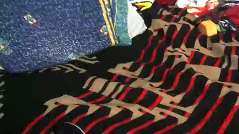 Snapshot of willamyth chatting on February 2025 08:12:02 AM Willamyth online show from February 2025 08:12:02 AM