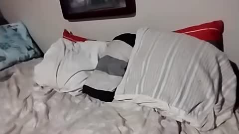 willfast online show from October 2025 07:05:02 AM