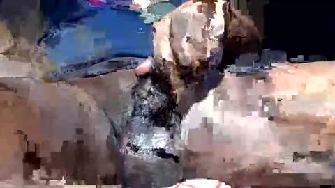 willianel online show from December 2025 11:43:01 PM