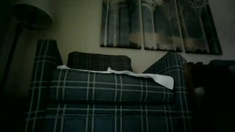 Snapshot of willnedoher chatting on December 2024 08:09:01 PM Willhedoher online show from December 2024 08:09:01 PM