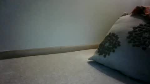 Snapshot of willnedoher chatting on February 2025 01:48:02 PM Willhedoher online show from February 2025 01:48:02 PM