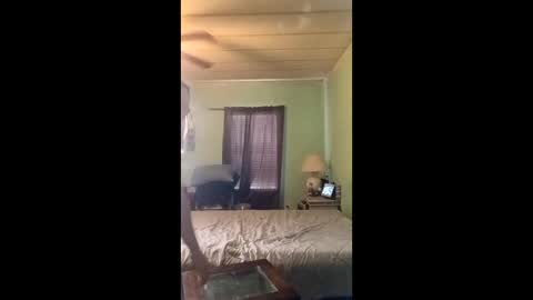 willowwetter online show from June 2026 07:29:01 PM
