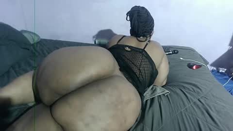 wilmaassylum online show from January 2025 01:36:02 PM