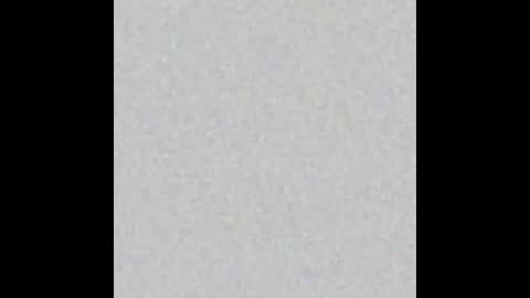 wilmot69noah online show from February 2025 11:49:01 AM