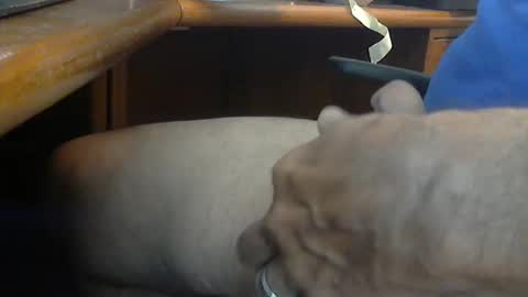 Snapshot of wineman88886 chatting on March 2026 05:05:01 PM Wineman88886 online show from March 2026 05:05:01 PM