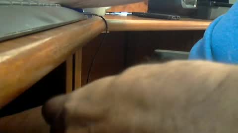 Wineman88886 online show from June 2026 07:16:02 PM