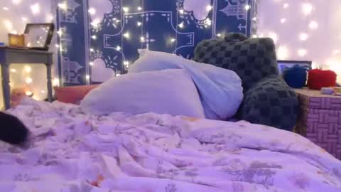 Snapshot of wingardiumleveveosa chatting on December 2024 06:23:01 AM Eevie online show from December 2024 06:23:01 AM