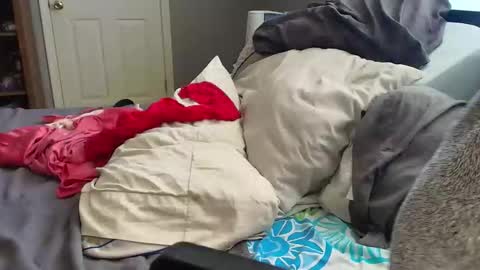 Snapshot of witchbitchmommy chatting on March 2026 06:11:02 PM witchbitchmommy online show from March 2026 06:11:02 PM