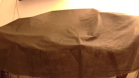 Snapshot of withbothhandsplease chatting on January 2025 04:02:01 PM Mater online show from January 2025 04:02:01 PM