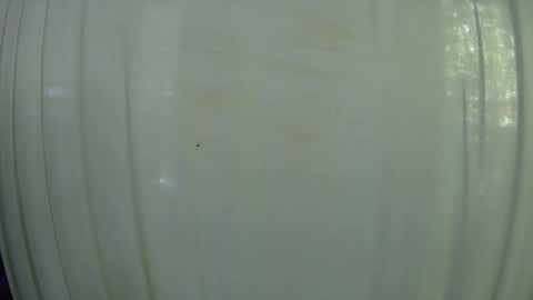 Snapshot of withbothhandsplease chatting on October 2025 07:55:01 PM Mater online show from October 2025 07:55:01 PM