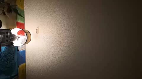 Snapshot of wizardmike421 chatting on November 2025 03:06:01 AM wizardmike421 online show from November 2025 03:06:01 AM