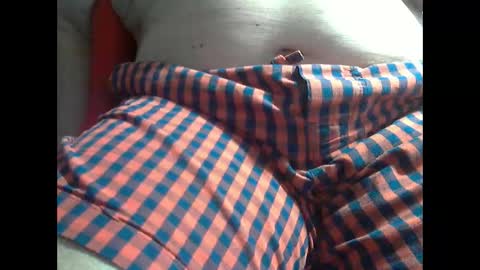 Snapshot of wolfoerl chatting on September 2025 01:49:01 PM wolfoerl online show from September 2025 01:49:01 PM