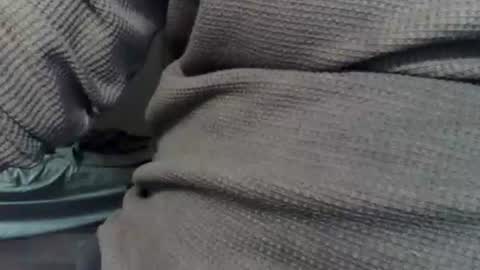 wolfreapsurass online show from February 2026 03:15:01 AM