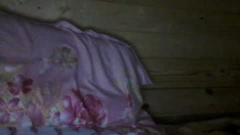 Snapshot of wolfvili chatting on July 2026 04:45:01 PM Vili online show from July 2026 04:45:01 PM
