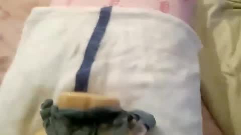 Snapshot of wood6957 chatting on November 2025 12:29:02 PM wood6957 online show from November 2025 12:29:02 PM