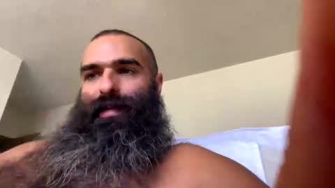 woof_wolf37 online show from November 2025 05:45:01 PM