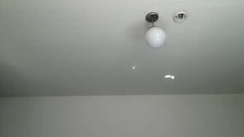 woof_wolf37 online show from January 2026 09:16:02 PM