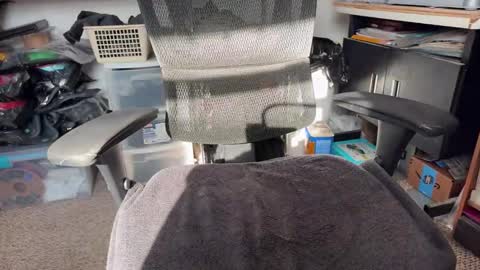 Snapshot of workplace_proximity_associate chatting on January 2025 06:58:02 PM workplace_proximity_associate online show from January 2025 06:58:02 PM