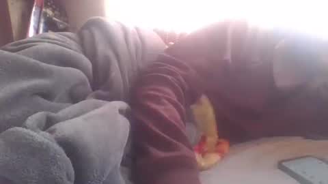 wormaho84 online show from December 2024 06:49:01 PM