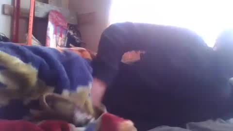 wormaho84 online show from January 2025 02:41:01 PM