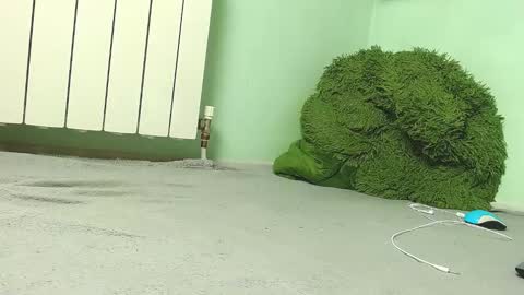 wow_devil online show from December 2024 06:57:02 AM