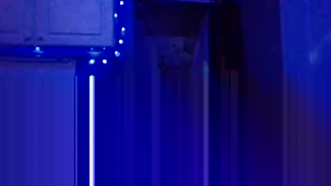 Snapshot of wundrsword33 chatting on January 2025 07:28:02 PM BONER DONOR online show from January 2025 07:28:02 PM