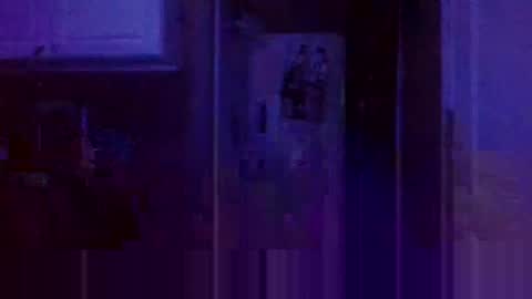 Snapshot of wundrsword33 chatting on January 2025 02:11:02 AM BONER DONOR online show from January 2025 02:11:02 AM