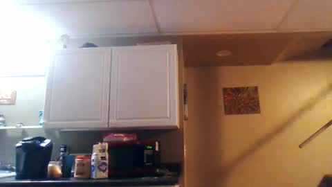 Snapshot of wundrsword33 chatting on January 2025 11:33:01 AM BONER DONOR online show from January 2025 11:33:01 AM