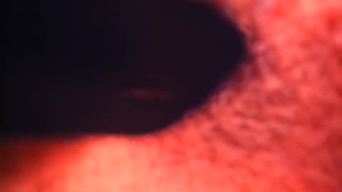 Snapshot of xallysonx_ chatting on February 2025 02:21:01 PM XALLYSONX online show from February 2025 02:21:01 PM