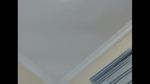 Snapshot of xcreamypussy chatting on January 2025 10:17:01 PM xcreamypussy online show from January 2025 10:17:01 PM