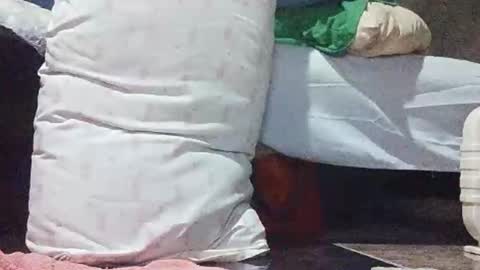 xhotskinny69x online show from March 2025 10:21:02 PM