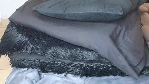 ximena online show from February 2025 10:47:02 AM