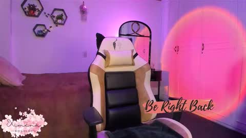 Snapshot of ximerosales chatting on March 2026 12:59:02 AM Ximena online show from March 2026 12:59:02 AM