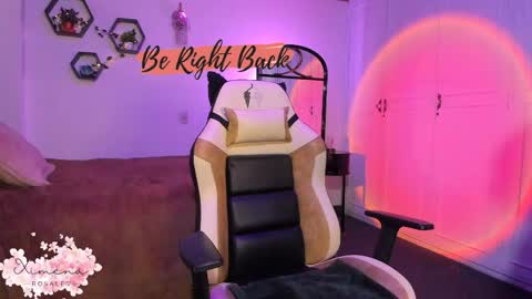 Snapshot of ximerosales chatting on April 2026 04:57:02 PM Ximena online show from April 2026 04:57:02 PM