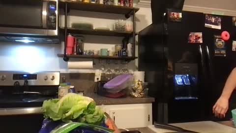 gdamnv online show from December 2024 01:06:02 PM