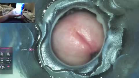 Snapshot of xoxowtf chatting on December 2024 04:53:01 AM xoxowtf online show from December 2024 04:53:01 AM