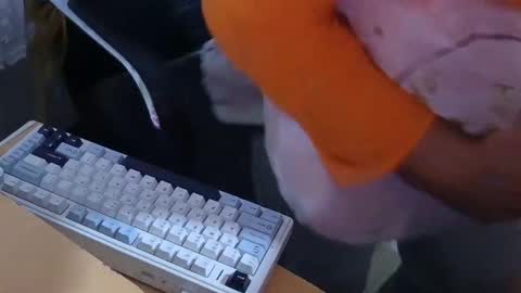 xrokettt online show from November 2025 07:54:01 PM