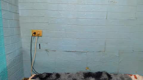 Snapshot of xsavagemistressx chatting on January 2025 11:56:02 AM Ask Me Baby  online show from January 2025 11:56:02 AM