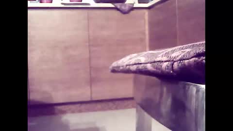 xsoul72 online show from February 2025 04:56:02 PM