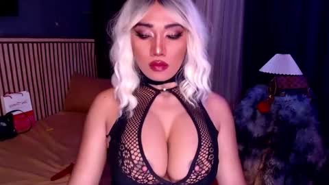 cinddy online show from November 2025 06:19:02 PM